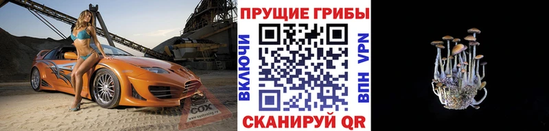 Купить где  Миллерово  Галлюциногенные грибы ЛСД 